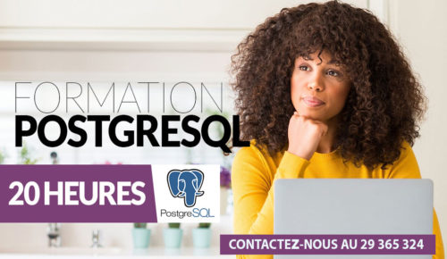 formation PostgreSQL en Tunisie
